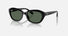 RJ9081S / Polished Black(100/71) / 48-17-130