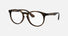 RY1554 / Matte Havana(3616) / 48-16-130