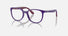 RY1631 / Polished Violet On Bordeaux(3962) / 45-16-130