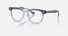 RY9098V / Polished Top Violet On Transparent Violet(3961) / 43-18-130