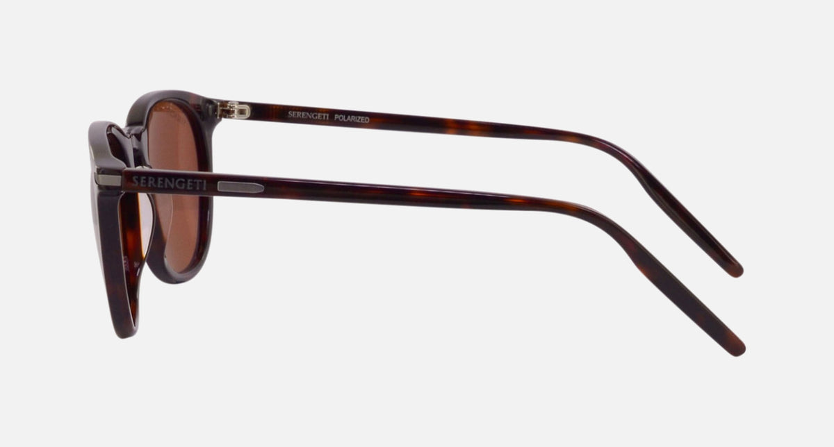 8937 / Shiny Dark Havana / Driver Brown (002) / 52-20-145