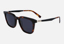 SF1100S / Dark Tortoise/Grey(242) / 52-19-145
