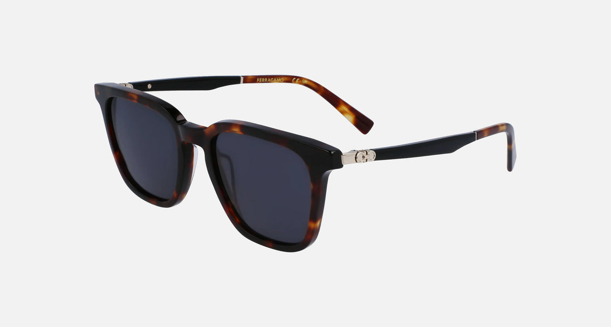 SF1100S / Dark Tortoise/Grey(242) / 52-19-145