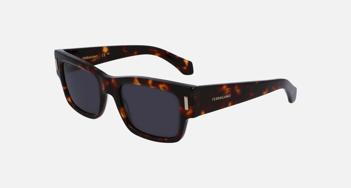 SF2011S / Dark Tortoise/Grey(242) / 53-21-140