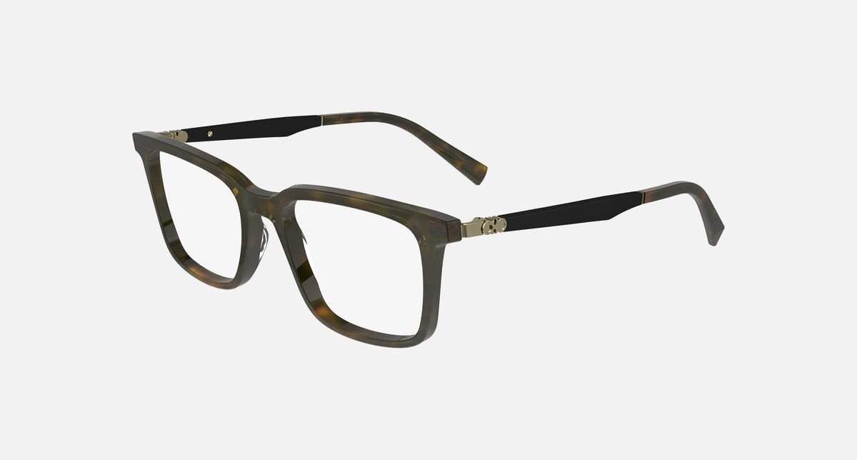 SF2969 / Dark Tortoise(242) / 53-19-145