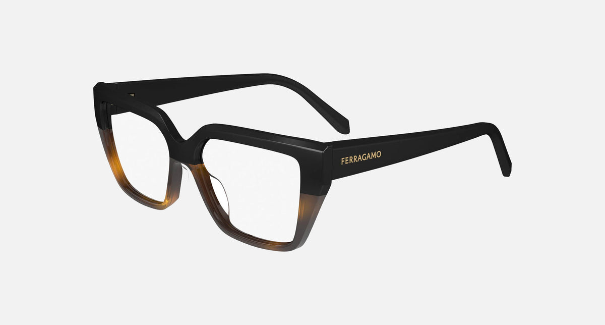 SF2971 / Black/Tortoise(006) / 53-15-140