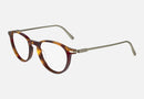 SF2976 / Tortoise(240) / 51-19-145