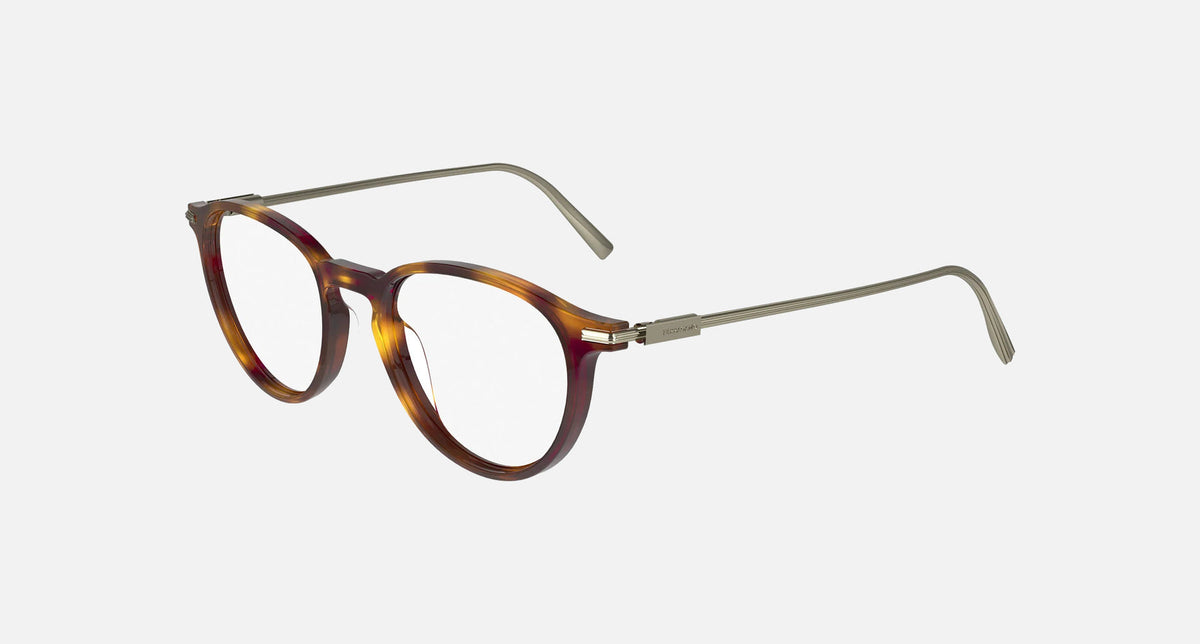 SF2976 / Tortoise(240) / 51-19-145
