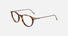 SF2976 / Tortoise(240) / 51-19-145