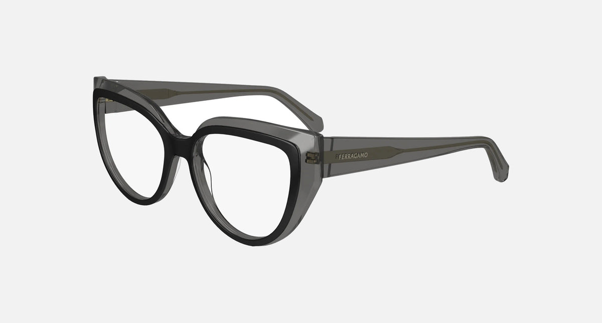 SF2984 / Transparent Grey/Black(024) / 53-16-140
