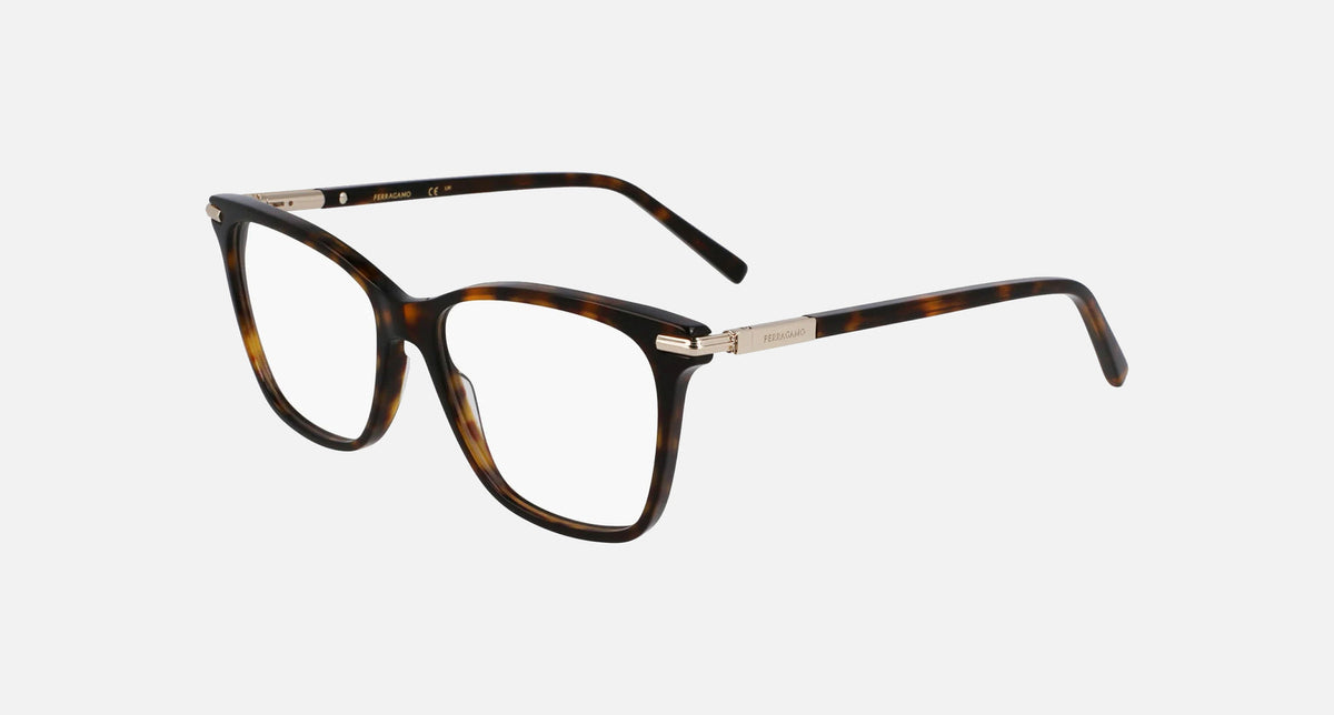SF3013 / Dark Tortoise(242) / 55-15-140