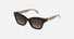 SFU814V / Shiny Dark Havana(0722) / 52-21-140