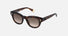 SFU986 / Shiny Middle Havana(0AGH) / 48-20-140