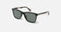 SPL872V / Grey-Green/Black And Havana(9D6P) / 56-17-145