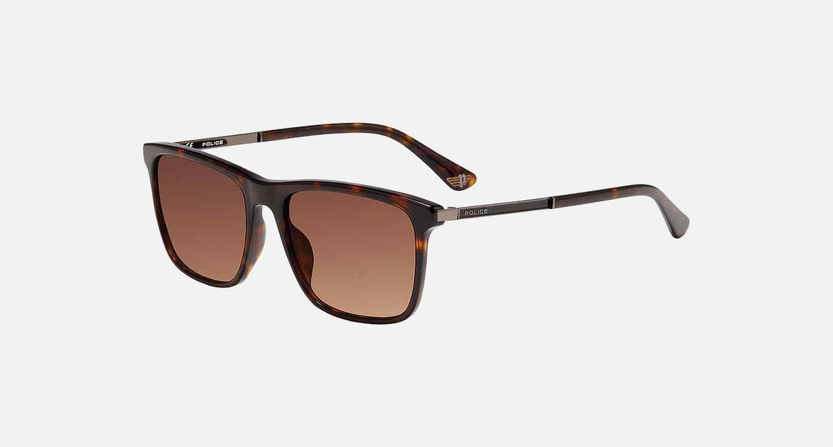 SPLA56 / Tortoise(0722) / 56-17-145