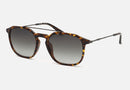 SPLL76M / Smoke Gradient/Polished Havana(978P) / 53-19-145