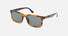 SPLP21 / Green/Shiny Striped Brown(0836) / 54-20-145