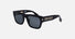 SPLP33 / Grey/Black and gold(700Y) / 54-22-145
