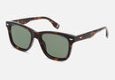 SPLR80 / Green/Brown Havana(02BL) / 53-20-150