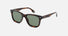 SPLR80 / Green/Brown Havana(02BL) / 53-20-150