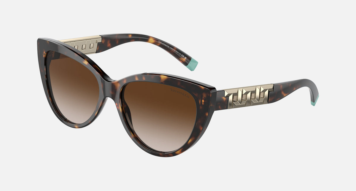 TF4196 / Havana/Brown Gradient (80153B) / 56 mm eye