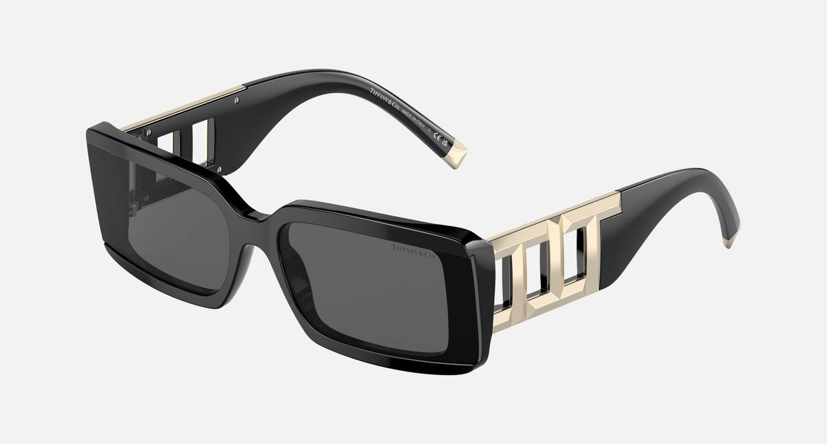 TF4197 / Black/Dark Grey (8001S4) / 62 mm eye