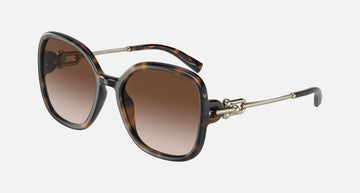 TF4202U / Havana/Brown Gradient (80153B) / 57 mm eye