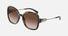 TF4202U / Havana/Brown Gradient (80153B) / 57 mm eye