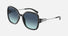 TF4202U / Black/Azure Blue Gradient (83429S) / 57 mm eye