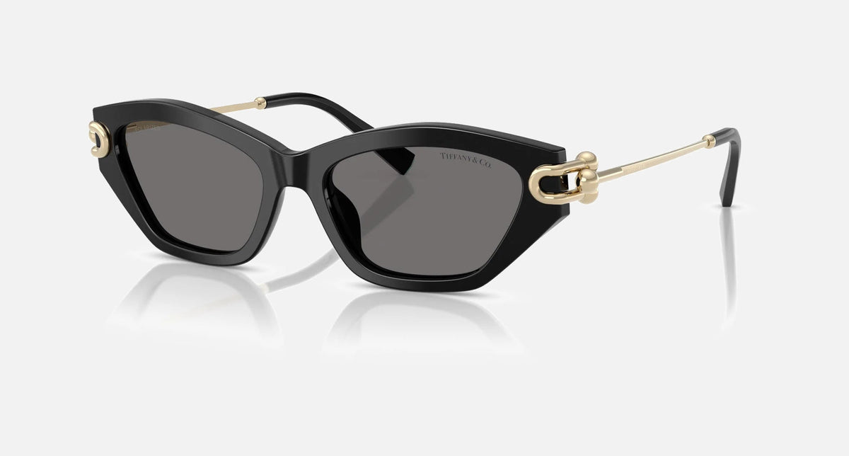 TF4231U / Black/Dark Grey (800181) / 53 mm eye