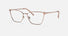 VE1275 / Rose Gold(1412) / 54-18-140