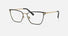 VE1275 / Matte Black/Gold(1433) / 54-15-140