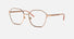 VE1299D / Rose Gold(1412) / 55-18-140