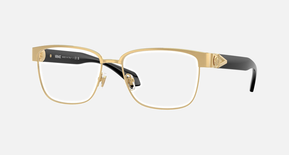 VE1306 / Pale Gold(1002) / 55-16-140