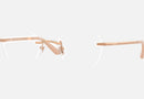 VE1314D / Rose Gold(1412) / 55-19-145