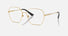 VE1316 / Pale Gold(1002) / 54-16-140