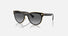 VE2198 / Black(1002T3) / 54-20-145