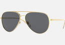VE2217 / Pale Gold/Dark Grey(100287) / 59-14-140