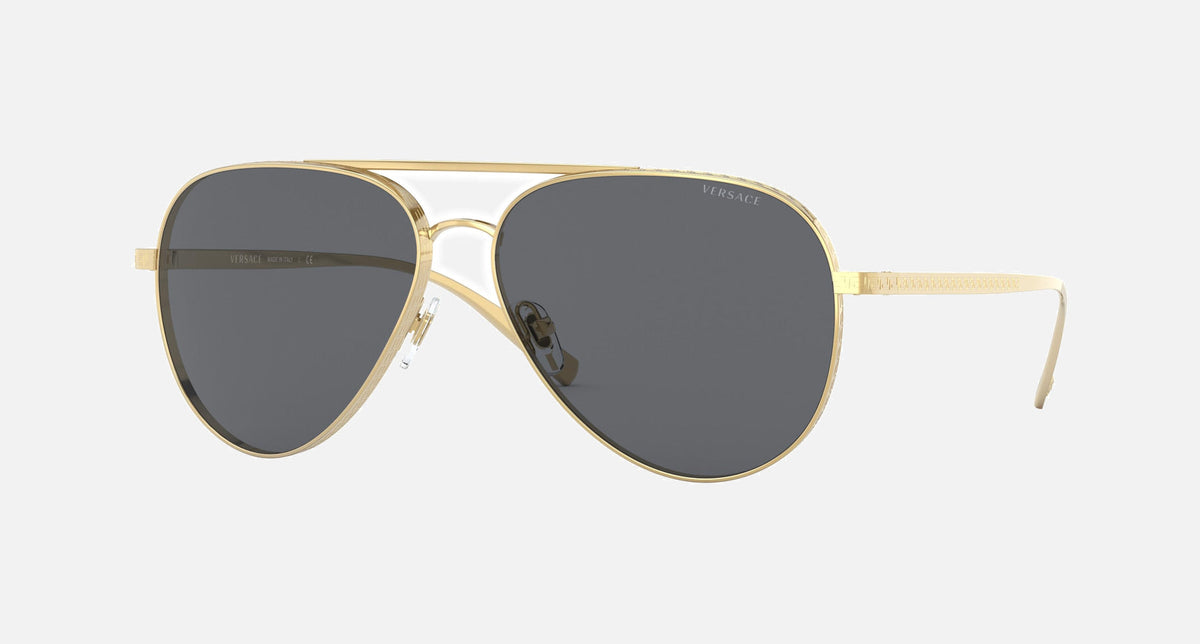 VE2217 / Pale Gold/Dark Grey(100287) / 59-14-140