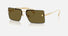 VE2245 / Pale Gold/Dark Green(100273) / 60-13-145