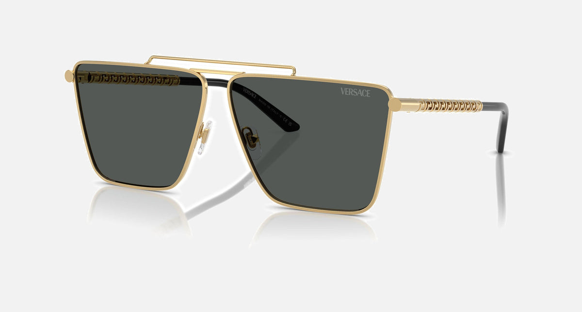 VE2266 / Pale Gold/Dark Grey(100287) / 64-11-145