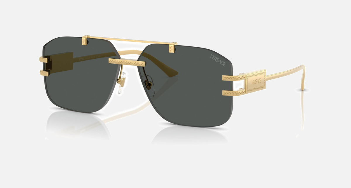 VE2275 / Pale Gold/Dark Grey(100287) / 60-13-140