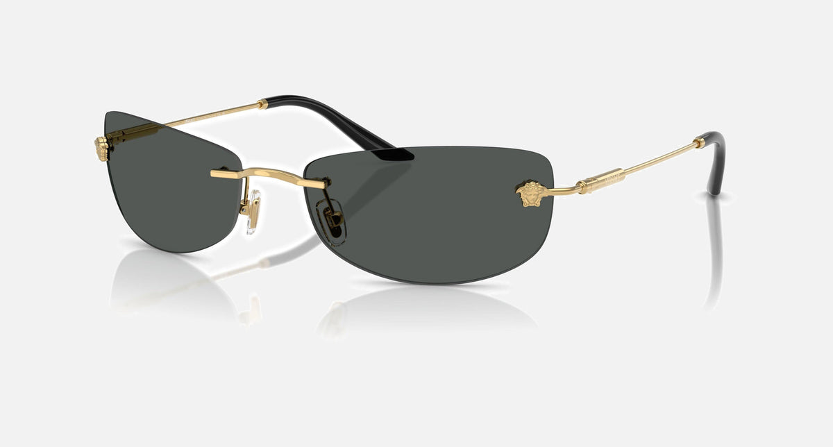 VE2279 / Pale Gold/Dark Grey(100287) / 60-13-140