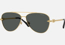 VE2283 / Pale Gold/Dark Grey(100287) / 61-13-140