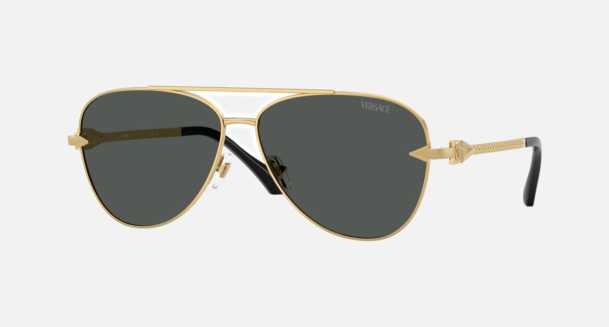 VE2283 / Pale Gold/Dark Grey(100287) / 61-13-140