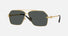 VE2284 / Pale Gold/Dark Grey(100287) / 63-10-140