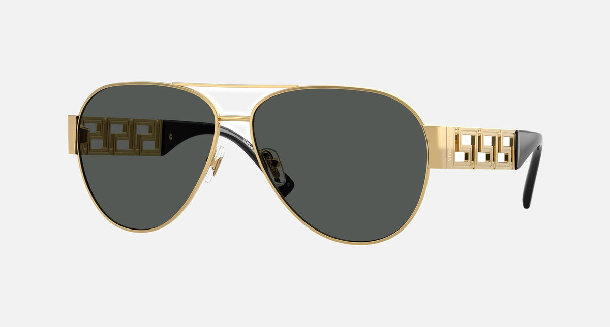 VE2289 / Pale Gold/Dark Grey(100287) / 61-18-140