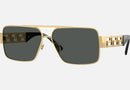 VE2290 / Pale Gold/Dark Grey(100287) / 61-13-145