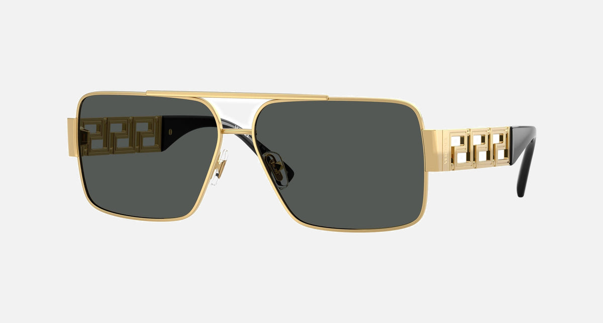 VE2290 / Pale Gold/Dark Grey(100287) / 61-13-145