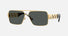 VE2290 / Pale Gold/Dark Grey(100287) / 61-13-145
